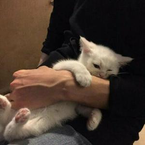 日本69啪啪视频
