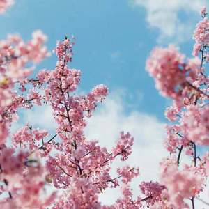 日本69啪啪视频
