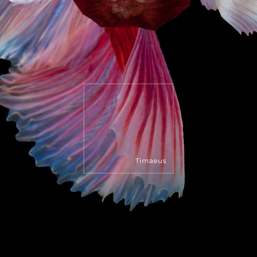 日本69啪啪视频
